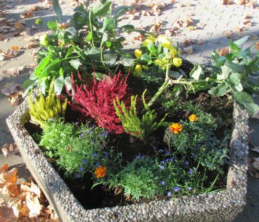 Der Herbst, der Herbst, der Herbst ist da!