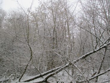 Es schneit, es schneit …